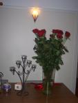 13 long stemmed red roses
