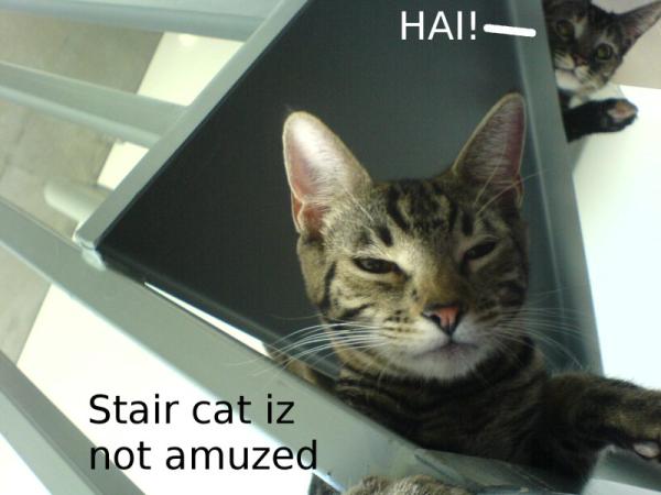 stair_lolz
